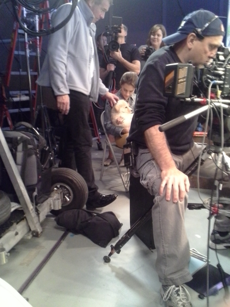 Illustration for article titled Plexiglas, poop, and penguins: Life behind the scenes on the Puppy Bowl